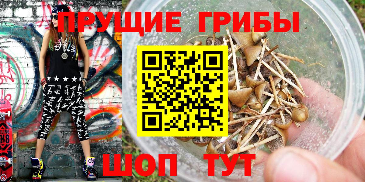 Псилоцибиновые грибы мицелий  Вход с VPN  Саров 