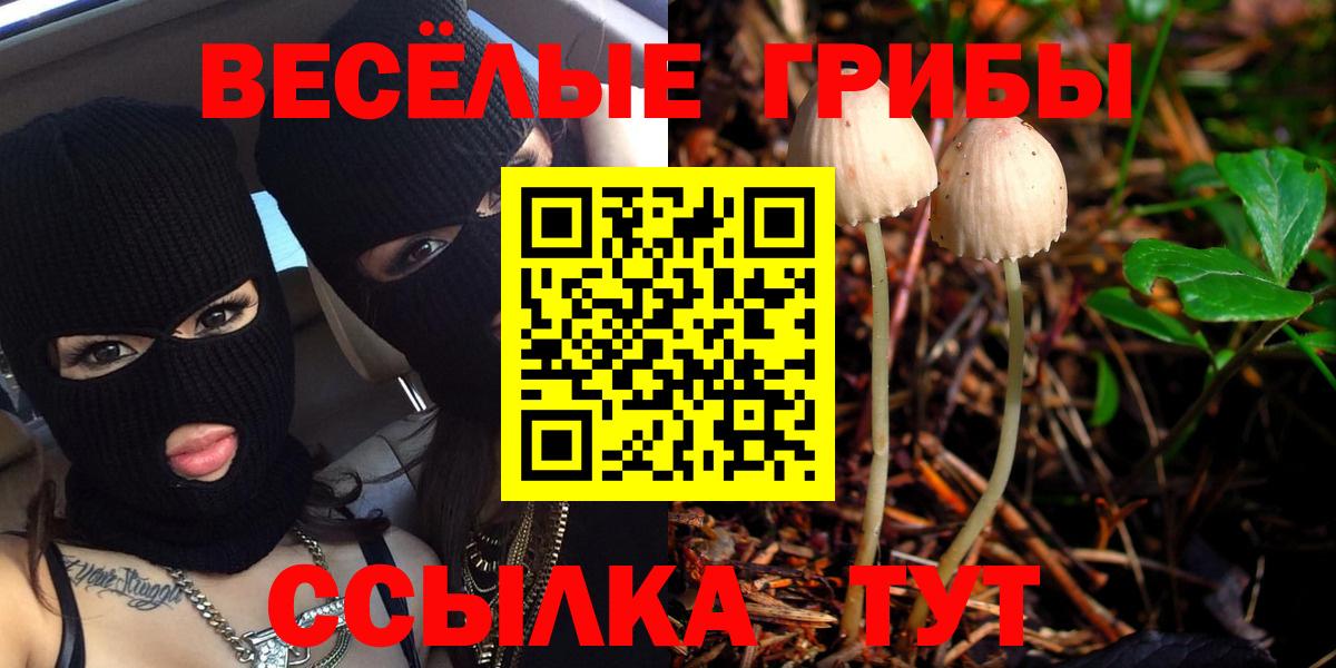 Галлюциногенные грибы MAGIC MUSHROOMS Саров